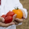 Food image