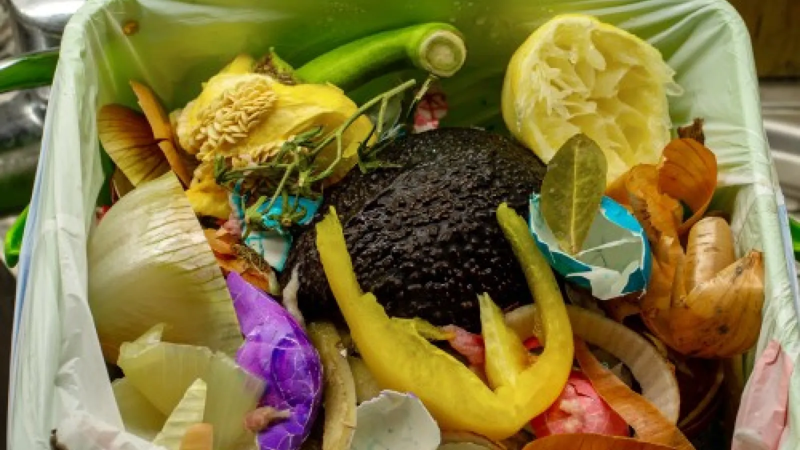 food waste